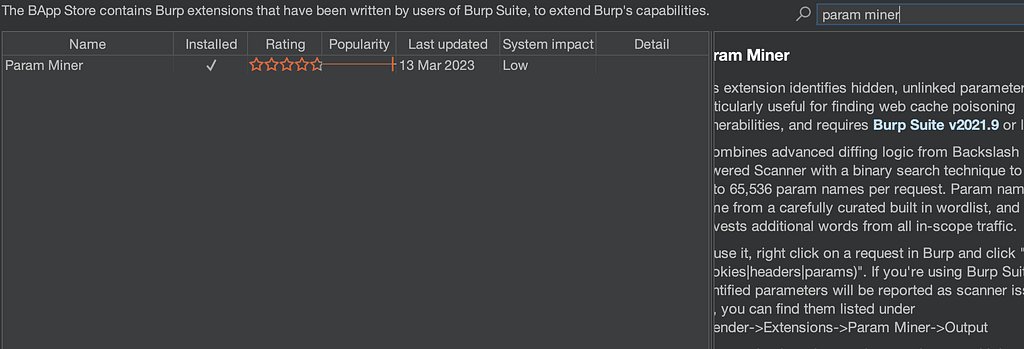 Param Miner extension listed in the Burp Suite BApp Store